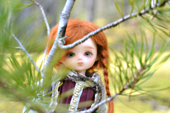Minimato in nature