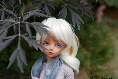 Dollmeet photos