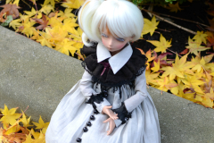 One Fall Day