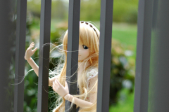 Ayu in cage
