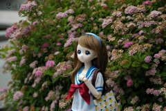 First outdoor Shoot of the year