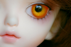 Hati with orange eye