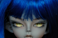 Soom MD Grit