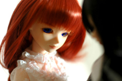 a_3942941267_2446c513bf_o