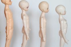 Body Comparison (nude)