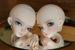 HEADS