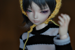 Misere-bear