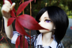 Misere1
