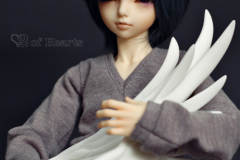 Misere's Wing Lyre Upgrade