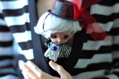 Lamina found a new hang out place