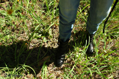 Queen Elizabeth Park picnic