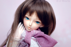 Juri 2010