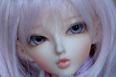 Minifee Juri 2010