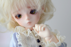 The Little Flower Prince
