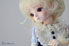 The Little Flower Prince