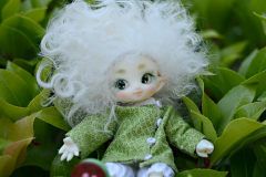 Dolls at Wonderland Meet