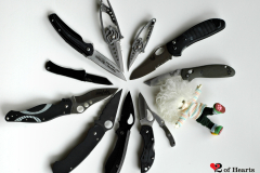 My pointy collection