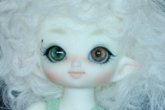 Puki Cupid