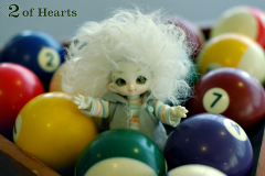 St. Patrick's Day meet