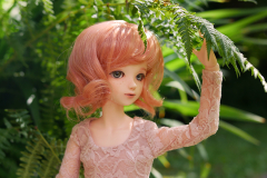 Dollmeet photos