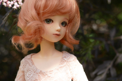 Dollmeet photos