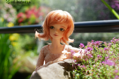 Dollmeet photos