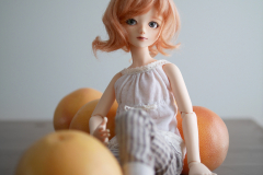 Grapefruit World