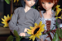 Sunflower6