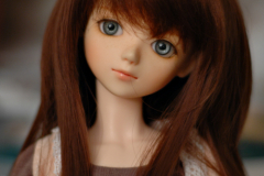 Tomato in Brown Carrot