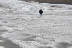 Columbia Icefield