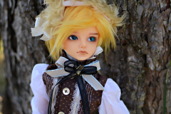 Dolls at Wonderland Meet