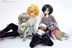 The Boys and a cat