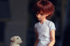 Vivere and dog