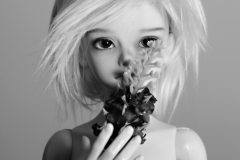 Vivere
