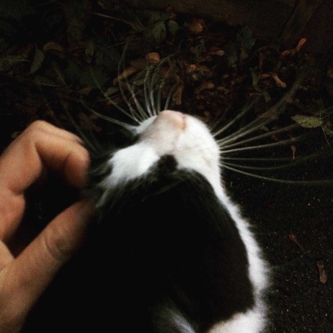 20150904