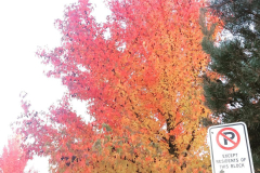 20171025