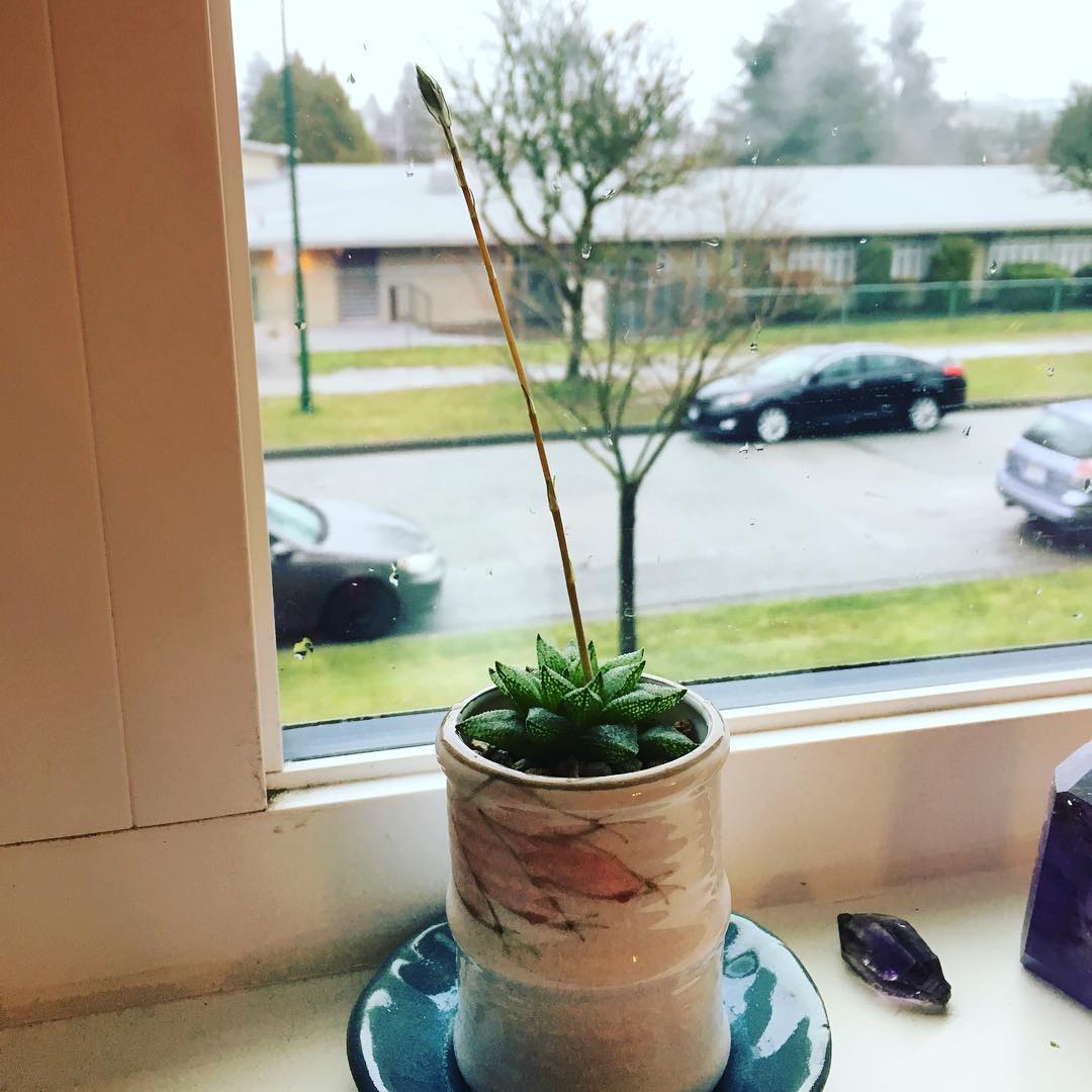 20180204