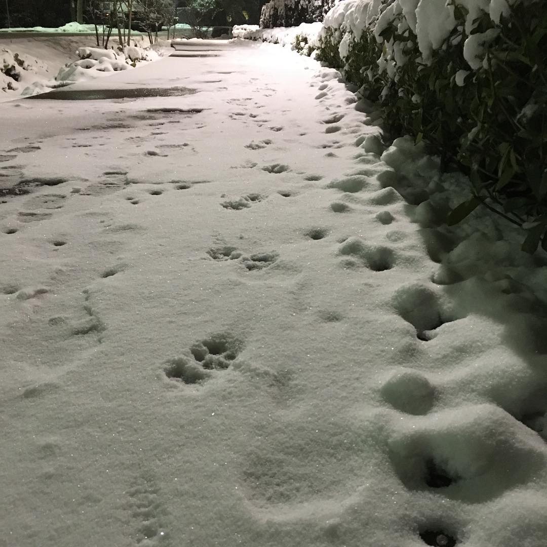 20190212