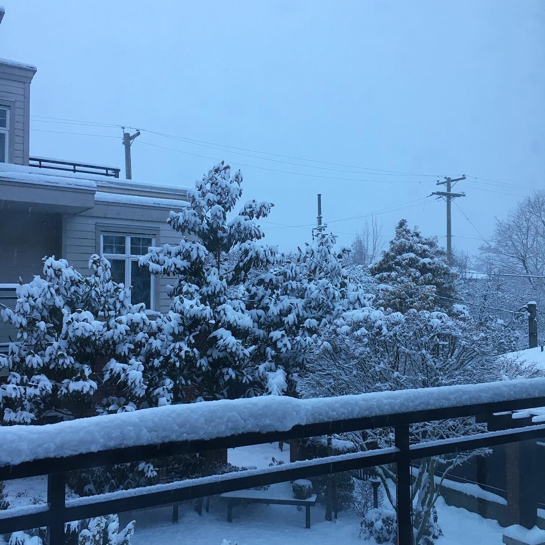 20190212