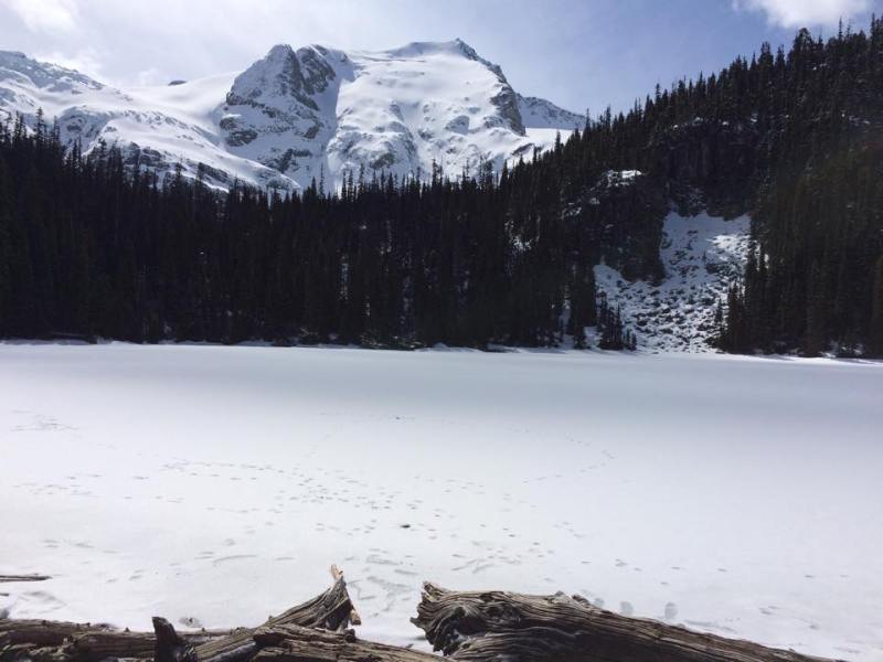 2015 – Whistler Trip