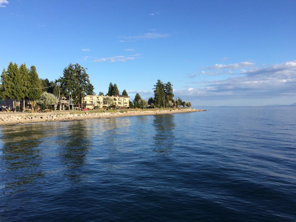 2016 – Trippy Trip