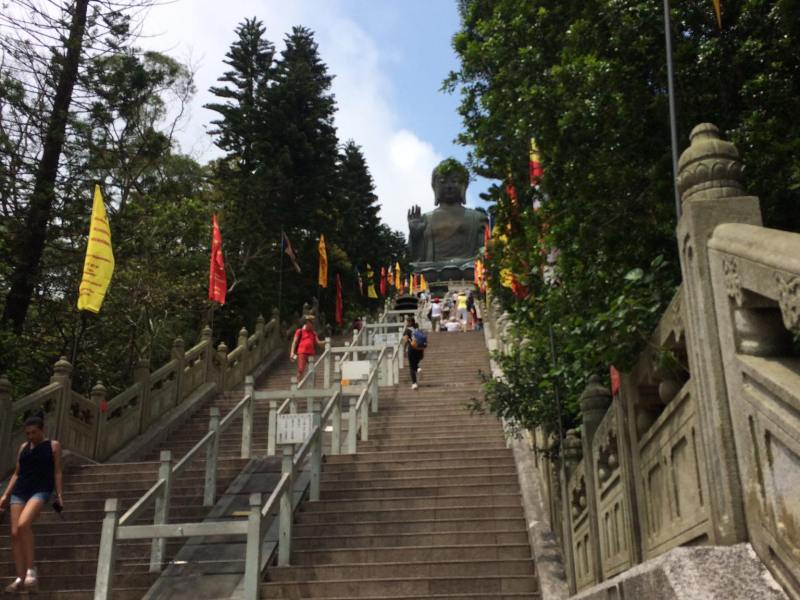 2017 – Asia Trippy