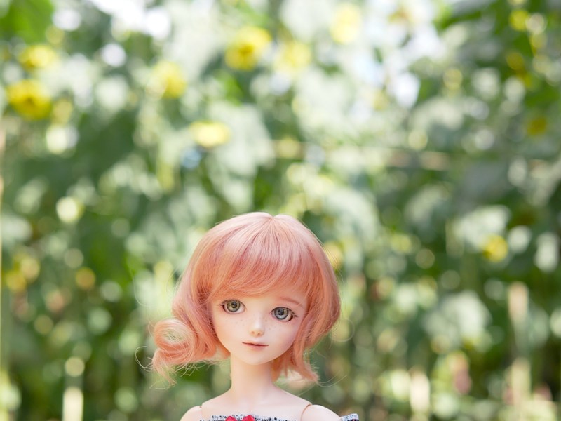 20190902 – Sunflower Festival