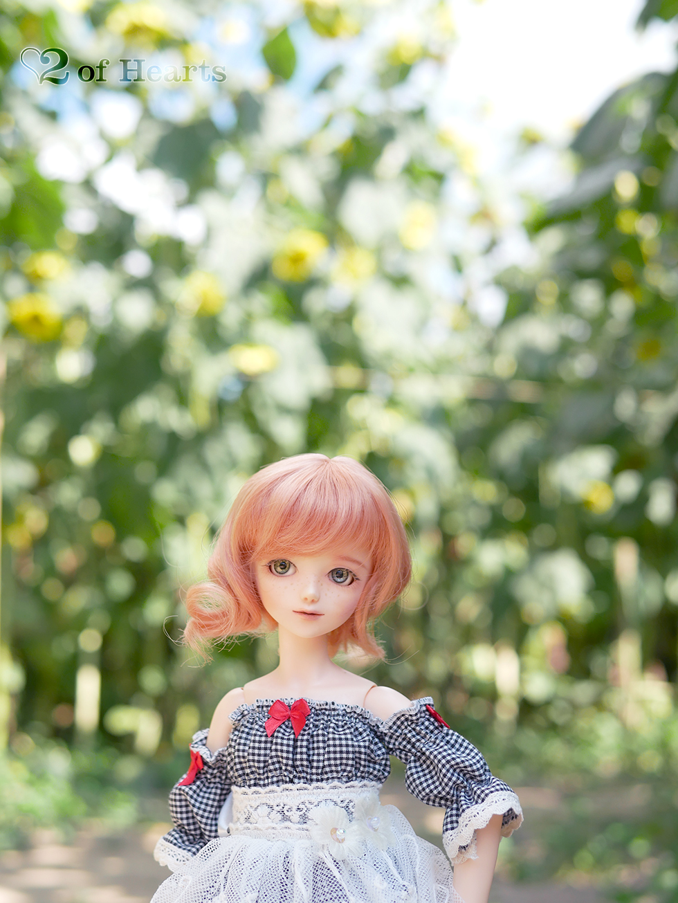 20190902 – Sunflower Festival