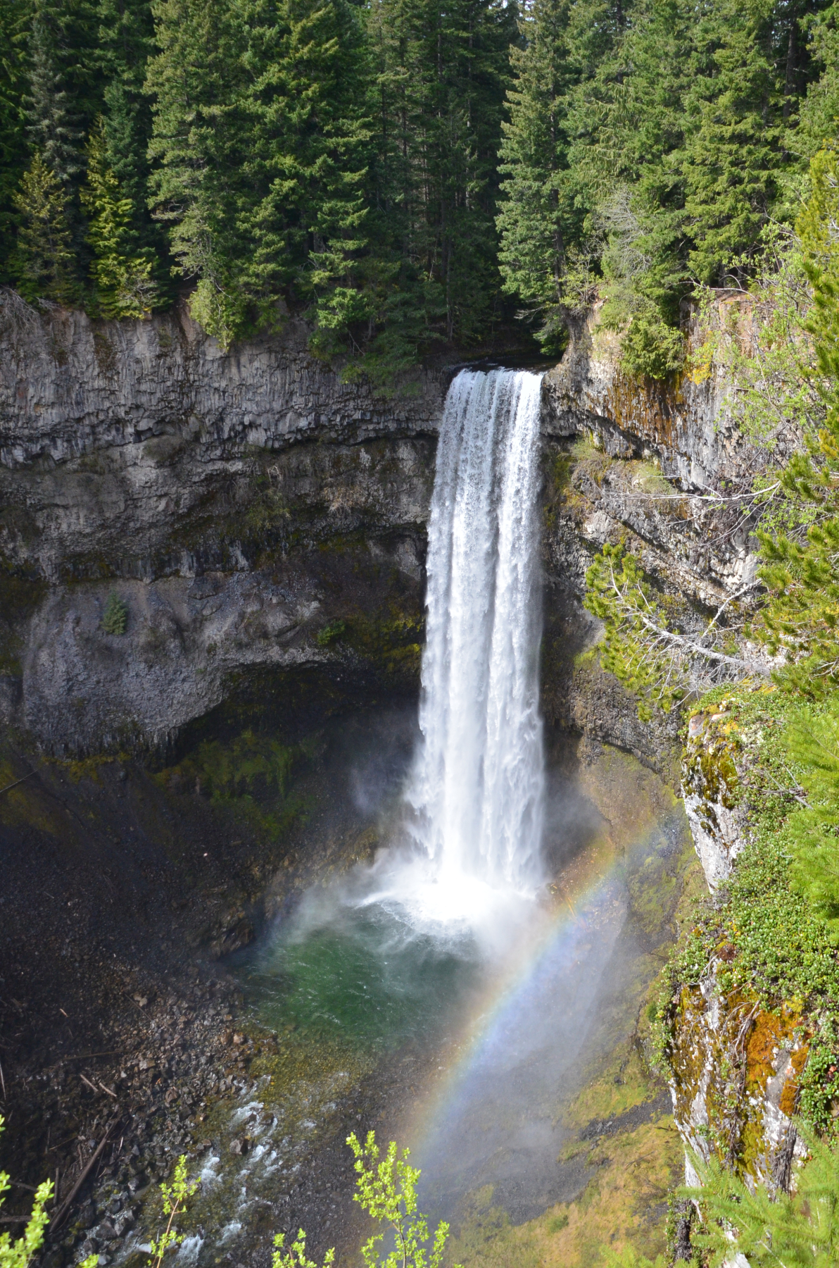 2015 – Trippy Trippy