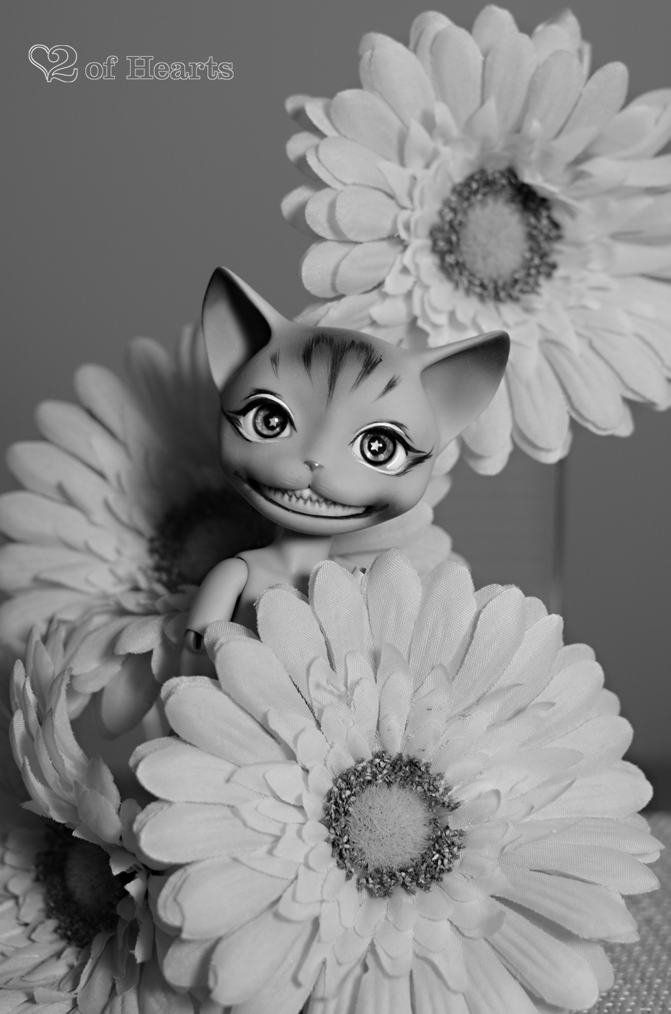 Colonel Fluffington[Pipos Baby Cheshire]