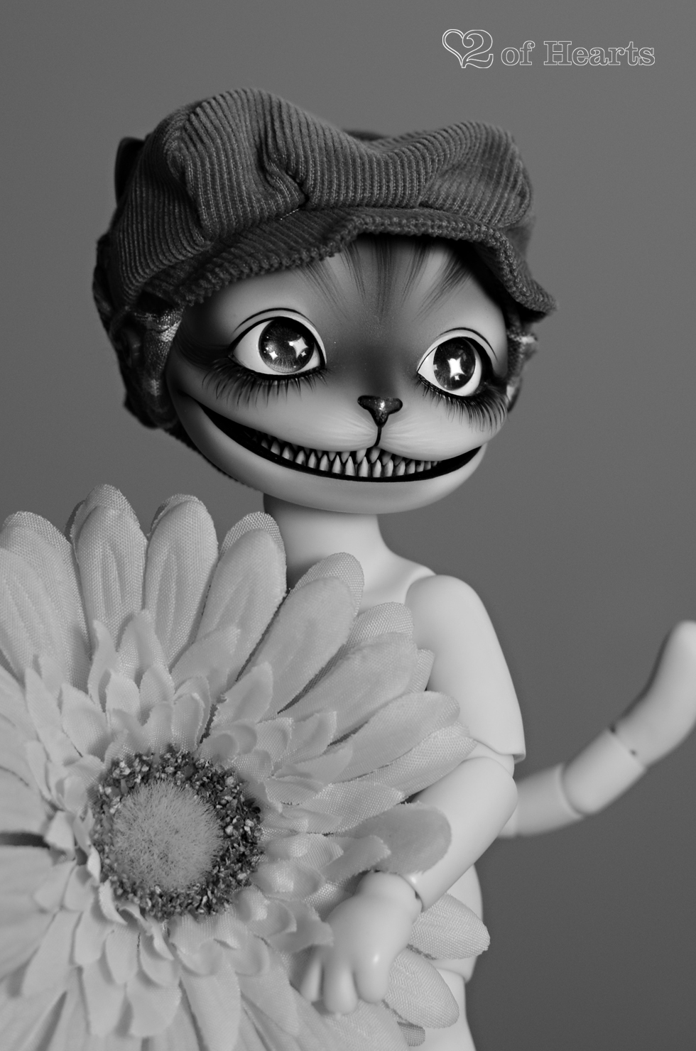 Hobocat – [Pipos Minty Star Cheshire]