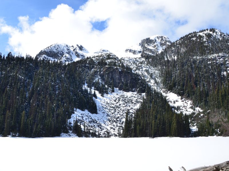 2015 – Trippy Trip