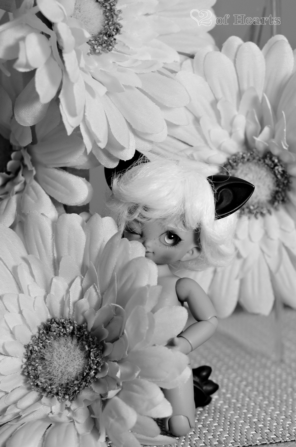 Lamina – [Chocopuki Cupid]