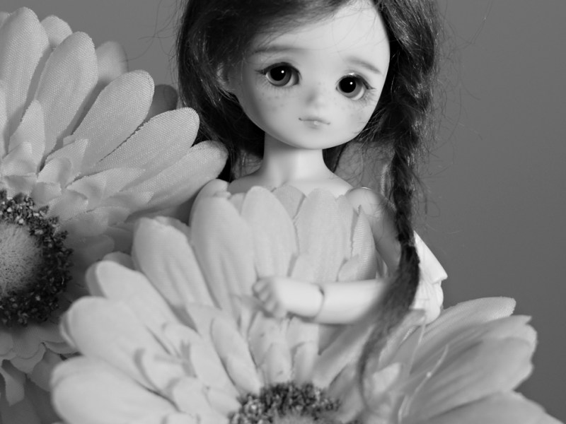 Minimato [PF Sugar Choco]